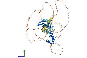 Protein Structure (PS) image for HMG Box-Containing Protein 1 (HBP1) (AA 1-516) protein (His tag) (ABIN7559719)