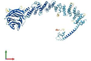 Protein Structure (PS) image for Transforming Growth Factor, beta Receptor Associated Protein 1 (TGFBRAP1) (AA 1-860) protein (His tag) (ABIN7563744)