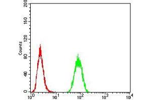 Flow Cytometry (FACS) image for anti-E3 ubiquitin-protein ligase RAD18 (RAD18) (AA 332-430) antibody (ABIN5542377)