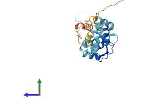 Protein Structure (PS) image for Kv Channel Interacting Protein 3, Calsenilin (KCNIP3) (AA 1-256) protein (His tag) (ABIN7561760)