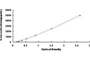 Typical standard curve (EMILIN2 ELISA 试剂盒)