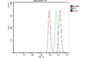 Flow Cytometry analysis of A549 cells using anti-SHQ1 antibody (ABIN7599205).