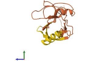 AlphaFold protein structure predicition of Human Recombinant FER1L6-AS1 Protein, UniprotID Q8NA97