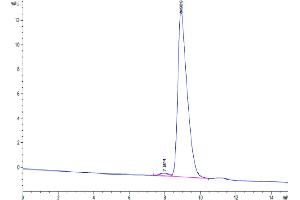 The purity of Human uPAR is greater than 95 % as determined by SEC-HPLC.