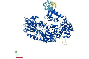 Protein Structure (PS) image for Syntaxin Binding Protein 2 (STXBP2) (AA 1-593) protein (His tag) (ABIN7557825)