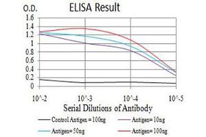 Black line: Control Antigen (100 ng),Purple line: Antigen (10 ng), Blue line: Antigen (50 ng), Red line:Antigen (100 ng) (Axin 抗体  (AA 546-752))