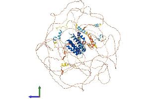 AlphaFold protein structure predicition of Mouse Recombinant Aff3 Protein, UniprotID P51827