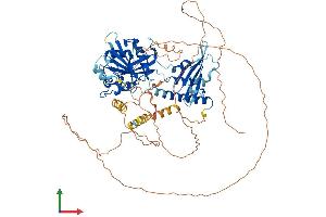 Protein Structure (PS) image for RAP1 GTPase Activating Protein 2 (RAP1GAP2) (AA 1-730) protein (His tag) (ABIN7551546)