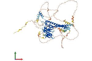 Protein Structure (PS) image for BRCA1 Associated Protein-1 (Ubiquitin Carboxy-terminal Hydrolase) (BAP1) (AA 1-729) protein (His tag) (ABIN7552723)