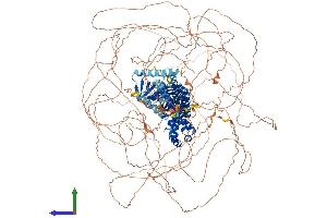 Protein Structure (PS) image for rho Guanine Nucleotide Exchange Factor (GEF) 5 (ARHGEF5) (AA 1-1597) protein (His tag) (ABIN7552205)
