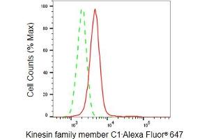 Flow cytometric analysis of Kinesin family member C1 expression in HepG2 cells using Kinesin family member C1 antibody (ABIN7799209), 1:2,000). (Recombinant KIFC1 抗体)