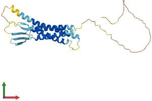 Protein Structure (PS) image for Claudin 18 (CLDN18) (AA 1-261) protein (His tag) (ABIN7546594)