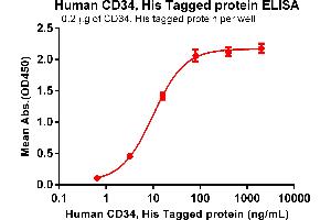 CD34 (CD34) (AA 32-290) protein (His tag)