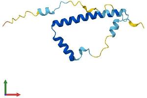 Protein Structure (PS) image for Lin-52 Homolog (LIN52) (AA 1-116) protein (His tag) (ABIN7559257)