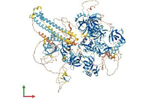 Protein Structure (PS) image for Ring Finger Protein 17 (RNF17) (AA 1-1640) protein (His tag) (ABIN7564910)