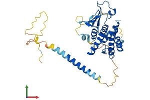 AlphaFold protein structure predicition of Human Recombinant AIMP2 Protein, UniprotID Q13155 (AIMP2 Protein (AA 1-320) (His tag))