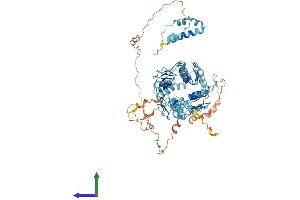 Protein Structure (PS) image for Zinc Finger Protein 12 (ZNF12) (AA 1-697) protein (His tag) (ABIN7545410)
