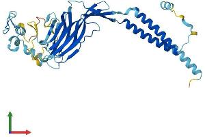 Protein Structure (PS) image for ERGIC and Golgi 3 (ERGIC3) (AA 1-383) protein (His tag) (ABIN7547504)