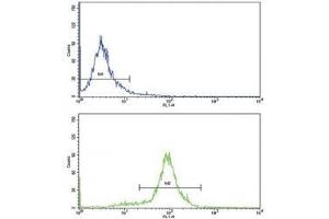 Flow cytometric analysis of HeLa cells using CCL2 antibody (bottom histogram) compared to a negative control (top histogram). (CCL2 抗体  (AA 62-89))