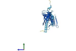 Protein Structure (PS) image for Endoplasmic Reticulum-Golgi Intermediate Compartment (ERGIC) 1 (ERGIC1) (AA 1-290) protein (His tag) (ABIN7547426)