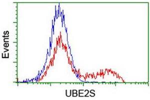 Image no. 1 for anti-Ubiquitin-Conjugating Enzyme E2S (UBE2S) antibody (ABIN1501644) (UBE2S 抗体)