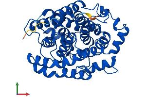 AlphaFold protein structure predicition of Mouse Recombinant Adprh Protein, UniprotID P54923