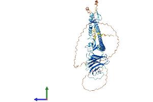 Protein Structure (PS) image for Tripartite Motif Containing 41 (TRIM41) (AA 1-630) protein (His tag) (ABIN7544679)