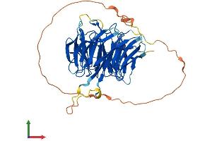 Protein Structure (PS) image for Diphthamide Biosynthesis 7 (DPH7) (AA 1-452) protein (His tag) (ABIN7547158)