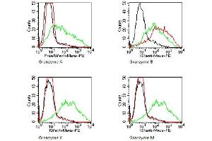 BOSC cells were transiently transfected with expression vectors for Granzyme A, B, K, or M.