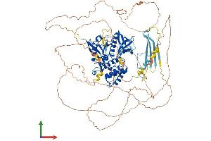 Protein Structure (PS) image for Erythrocyte Membrane Protein Band 4.1 Like 3 (EPB41L3) (AA 1-929) protein (His tag) (ABIN7565234)
