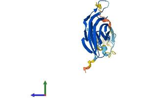 AlphaFold protein structure predicition of Mouse Recombinant B9d1 Protein, UniprotID Q9R1S0