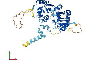 Protein Structure (PS) image for Cell Division Cycle 123 Homolog (CDC123) (AA 1-336) protein (His tag) (ABIN7559374)