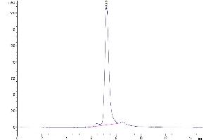 The purity of Human TREML2/TLT-2 is greater than 95 % as determined by SEC-HPLC.