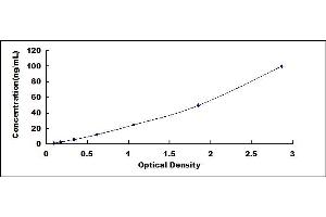 Typical standard curve (TUBB1 ELISA 试剂盒)