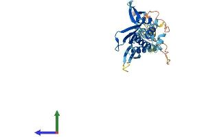AlphaFold protein structure predicition of Mouse Recombinant Prkra Protein, UniprotID Q9WTX2