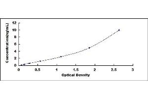 Typical standard curve (WNT2 ELISA 试剂盒)