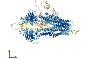 Protein Structure (PS) image for ATP-Binding Cassette, Sub-Family C (CFTR/MRP), Member 5 (ABCC5) (AA 1-1437) protein (His tag) (ABIN7554624)