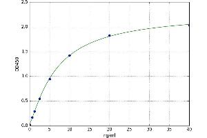 SBDP 150 ELISA Kit