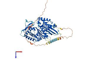 ENTPD6 Protein (AA 1-484) (His tag)