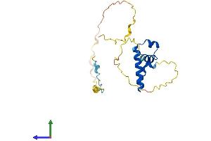 Protein Structure (PS) image for Synovial Sarcoma, X Breakpoint 3 (SSX3) (AA 1-188) protein (His tag) (ABIN7546446)