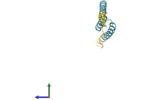 AlphaFold protein structure predicition of Human Recombinant LRRC37A5P Protein, UniprotID Q49AS3