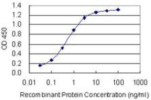 Detection limit for recombinant GST tagged PRRX1 is 0. (PRRX1 抗体  (AA 1-90))