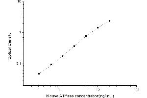 Typical standard curve (ATPase (Na/K) ELISA 试剂盒)