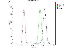 Flow Cytometry analysis of SiHa cells using anti-HDAC4 antibody (ABIN5518841). (HDAC4 抗体  (AA 4-213))