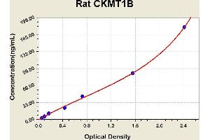 Diagramm of the ELISA kit to detect Rat CKMT1Bwith the optical density on the x-axis and the concentration on the y-axis. (CKMT1B ELISA 试剂盒)