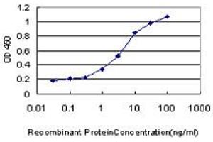 ELISA image for anti-N-Methylpurine-DNA Glycosylase (MPG) (AA 1-90) antibody (ABIN598819) (MPG 抗体  (AA 1-90))