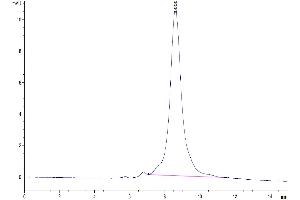 Size-exclusion chromatography-High Pressure Liquid Chromatography (SEC-HPLC) image for delta Like Protein 3 (DLL3) (AA 33-488) protein (His tag) (ABIN7274488)