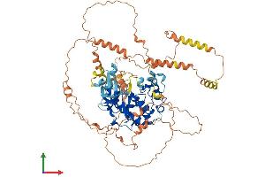 Protein Structure (PS) image for Mitogen-Activated Protein Kinase 6 (MAPK6) (AA 1-721) protein (His tag) (ABIN7554581)
