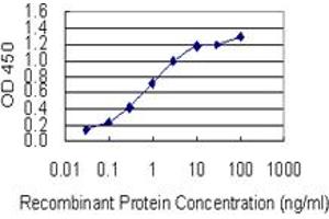 Detection limit for recombinant GST tagged SYT13 is 0. (SYT13 抗体  (AA 36-135))