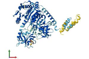 Protein Structure (PS) image for Solute Carrier Family 27 (Fatty Acid Transporter), Member 5 (SLC27A5) (AA 1-690) protein (His tag) (ABIN7555384)